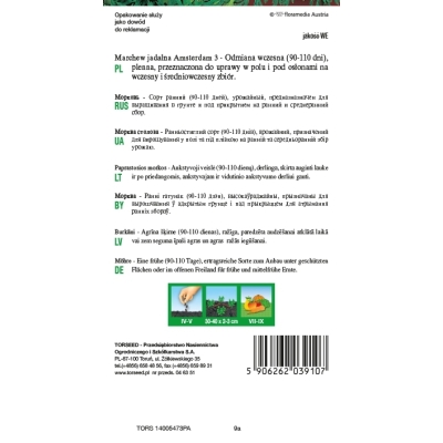 Marchew Amsterdamska Amsterdam 3 nasiona wczesna